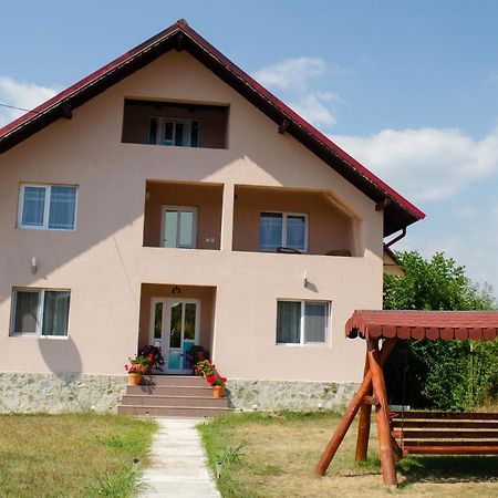 Pensiunea Aly Bumbesti Pitic Extérieur photo