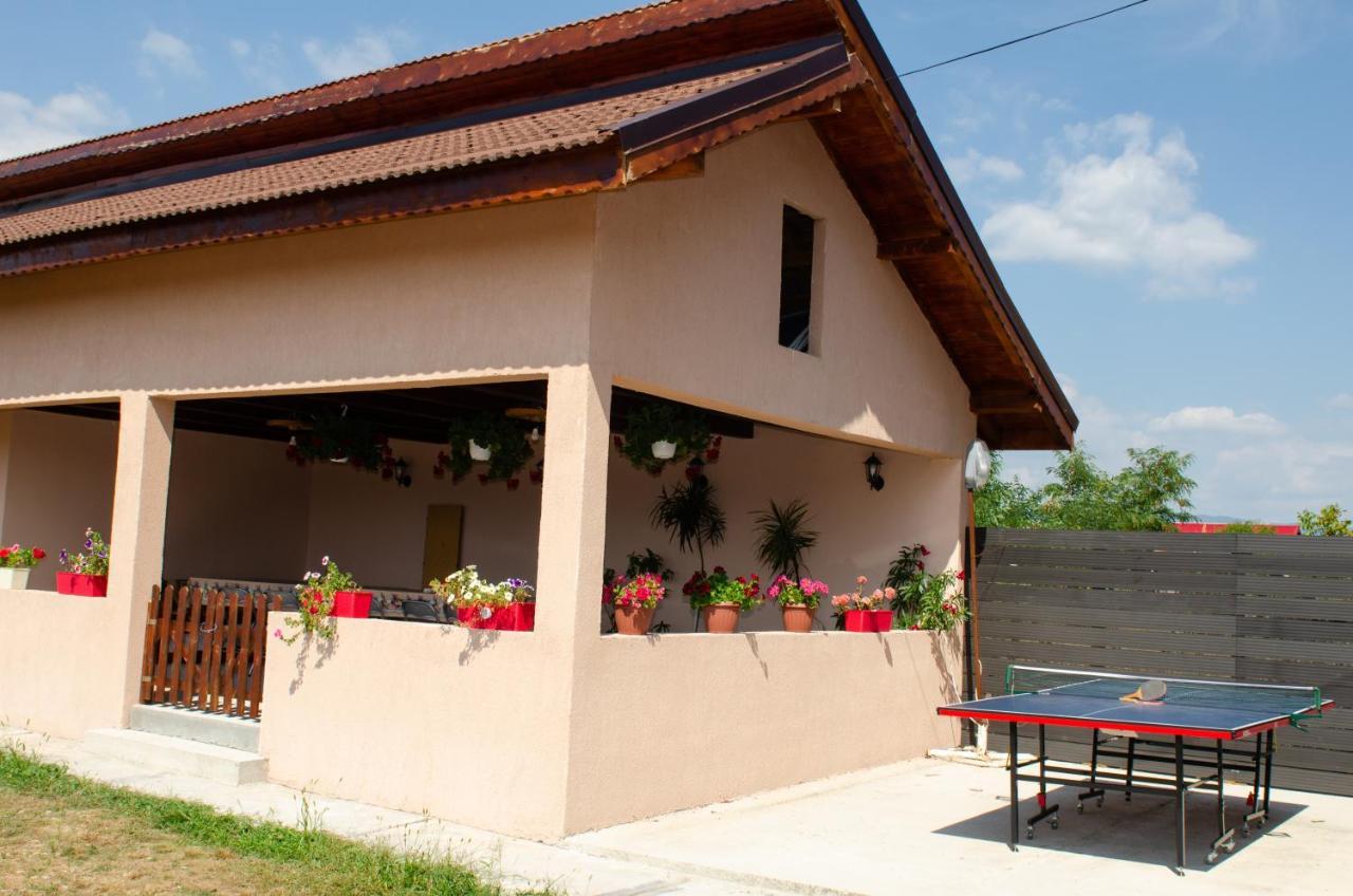 Pensiunea Aly Bumbesti Pitic Extérieur photo