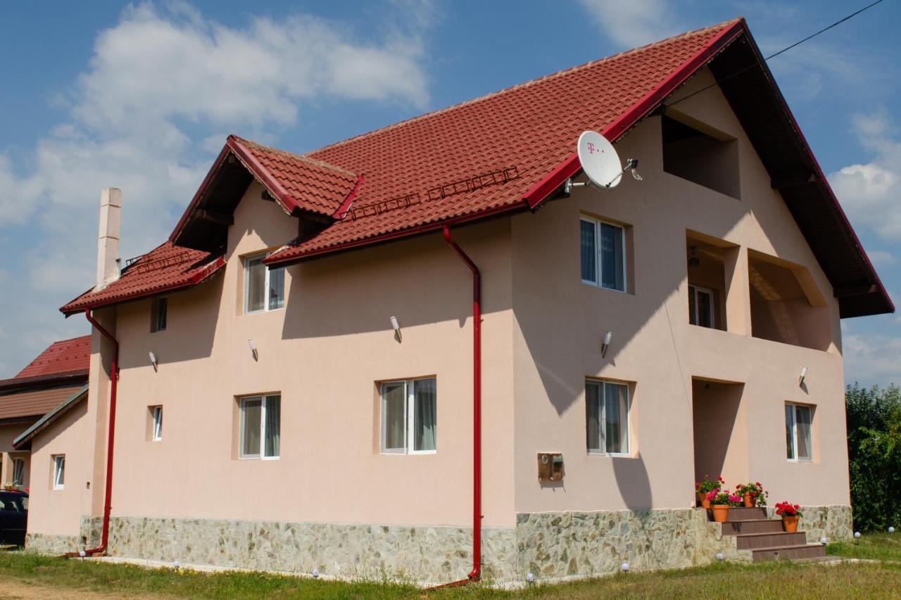 Pensiunea Aly Bumbesti Pitic Extérieur photo