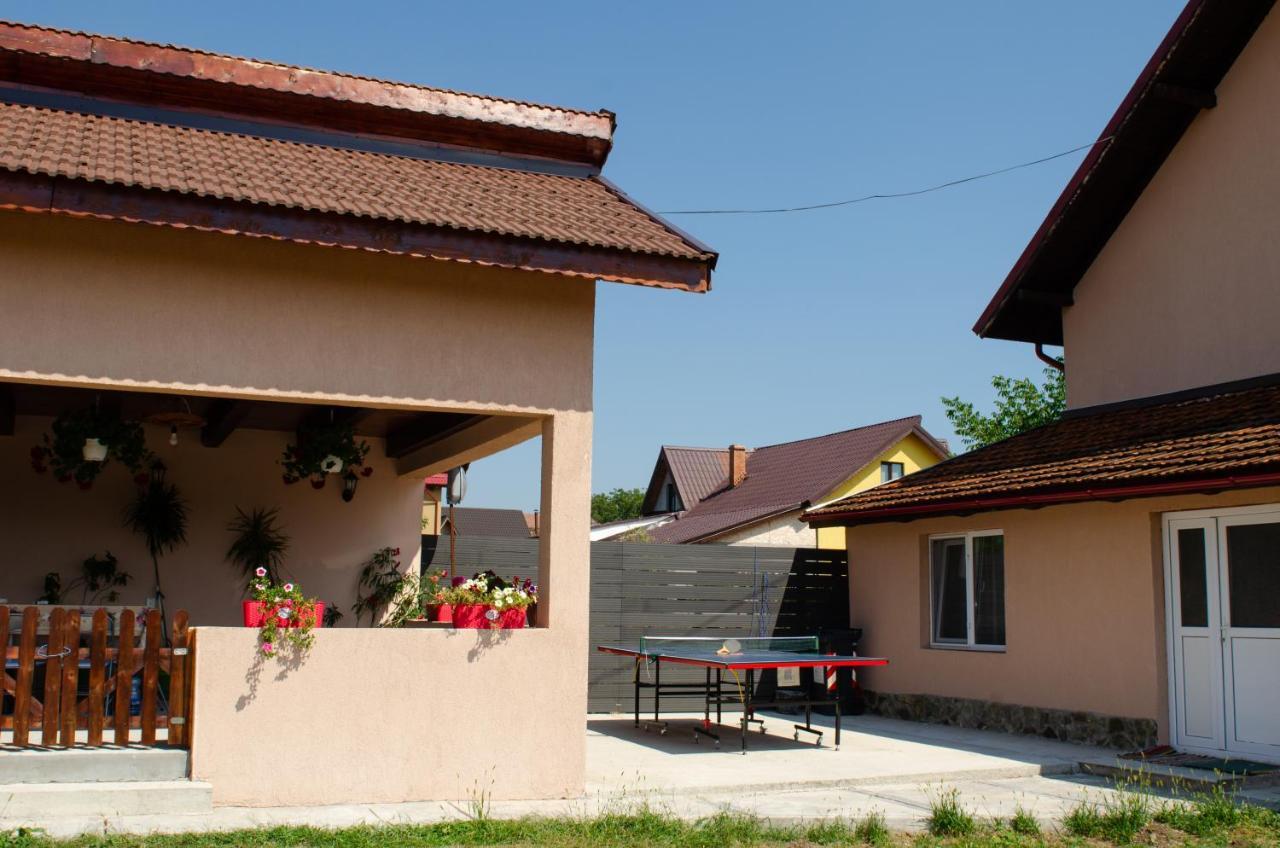 Pensiunea Aly Bumbesti Pitic Extérieur photo